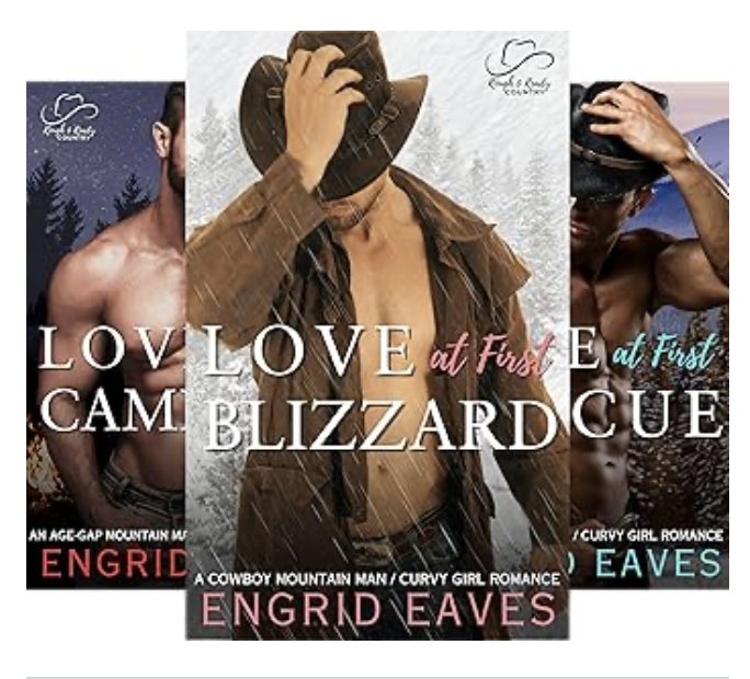 A series of three covers for the book love at first blizzard.
